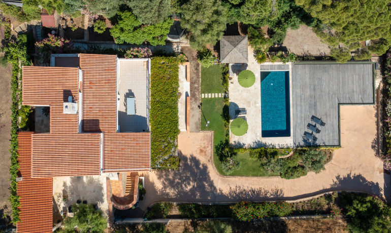 Ventes - Villa avec piscine en bord de mer. - Villa/Maison - AJACCIO - Sanguinaires